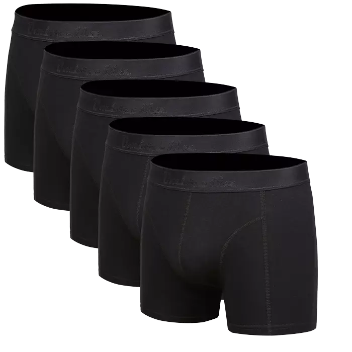 5 schwarze Bambus Unterhosen