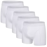 Übersicht: 5 weiße Baumwoll-Unterhosen
